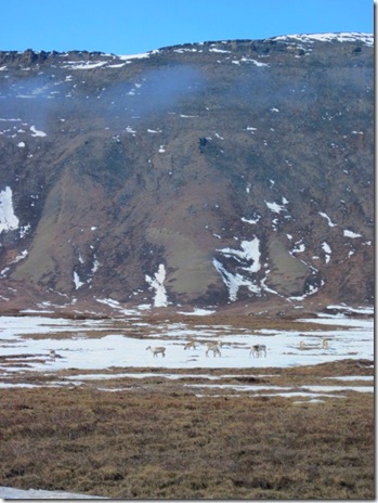 IMG_0314 IMG_0314