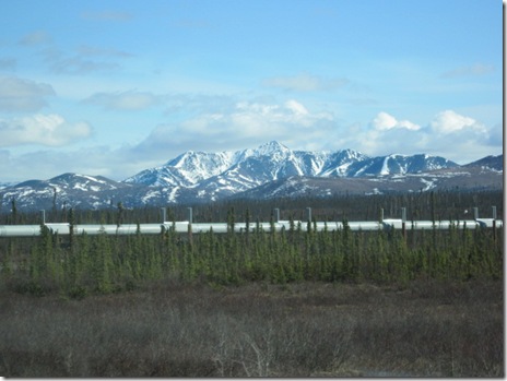 IMG_0362 IMG_0362
