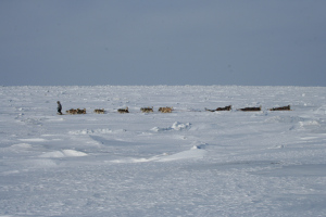 sea_ice sea_ice