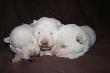 snuggling snuggling