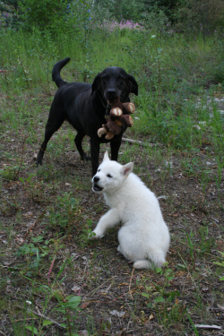 IMG_1305 IMG_1305