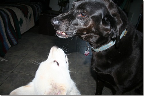 IMG_1895 IMG_1895