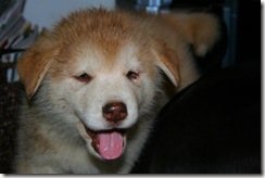 IMG_1993 IMG_1993