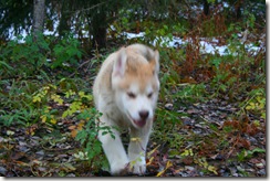IMG_3106 IMG_3106