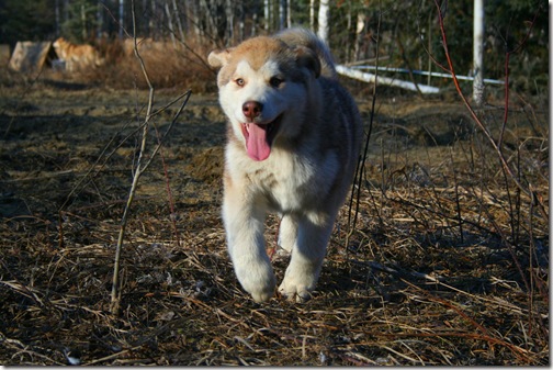 IMG_3565 IMG_3565