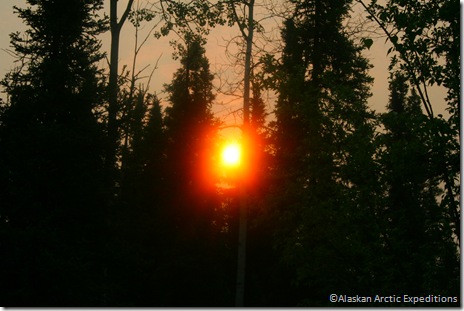 IMG_7557 IMG_7557