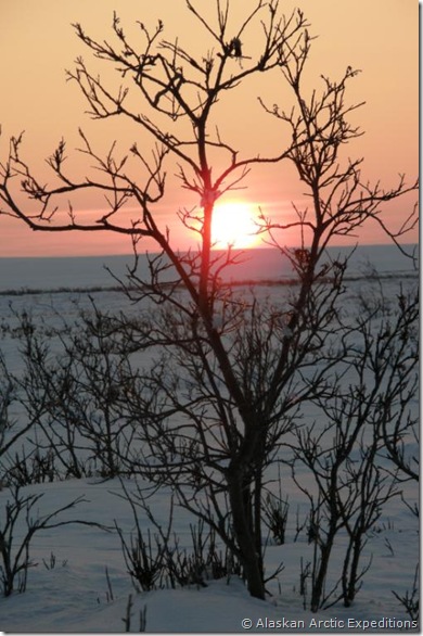 photo by Lyne McFarlane sunset